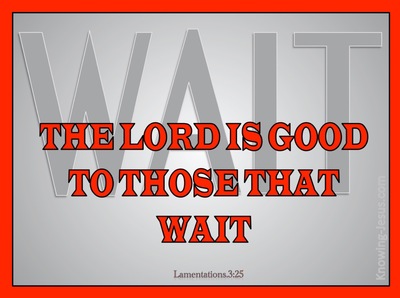 Lamentations 3:25 The Lord Is Good To Those Who Wait (red)